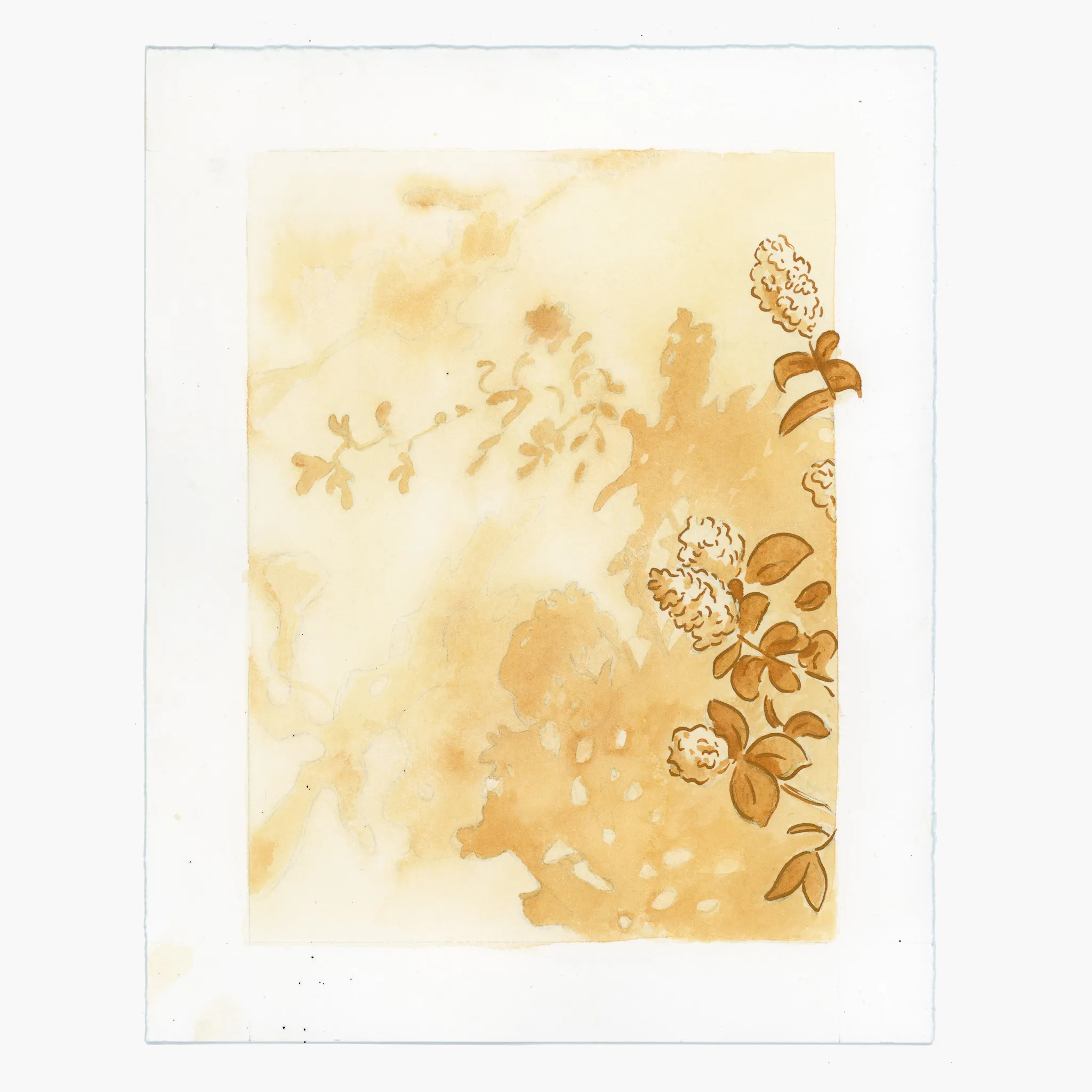 Spring Soil