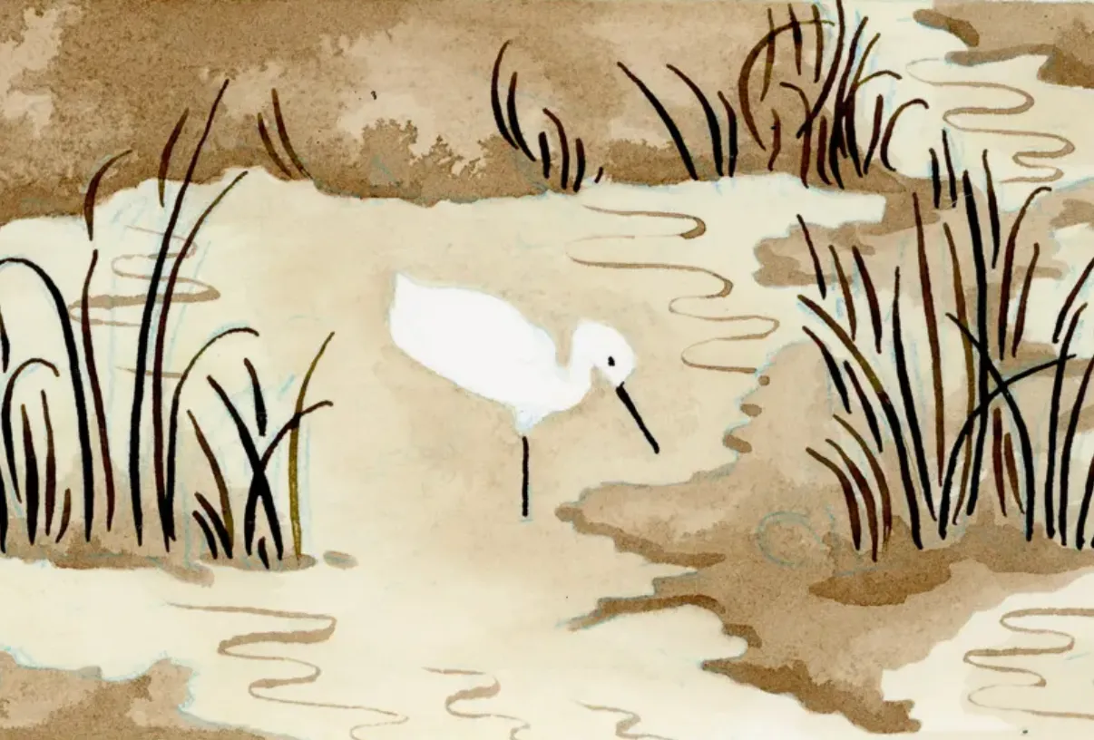 On Nature: Cut Words preview
