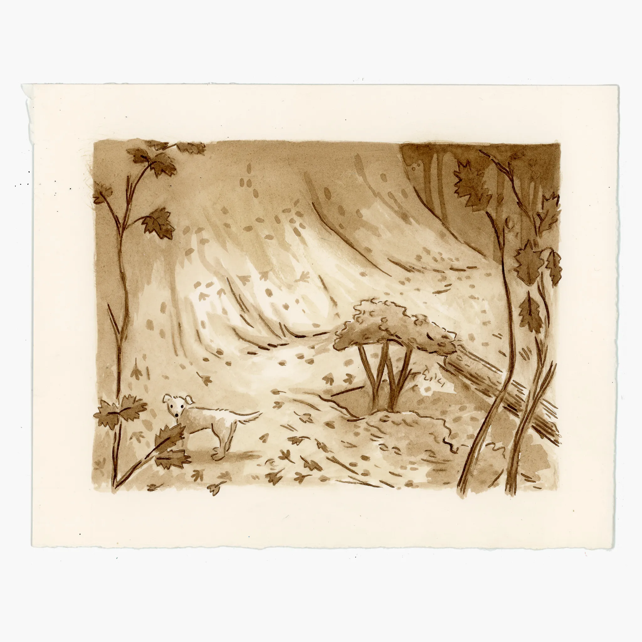 Late Autumn
