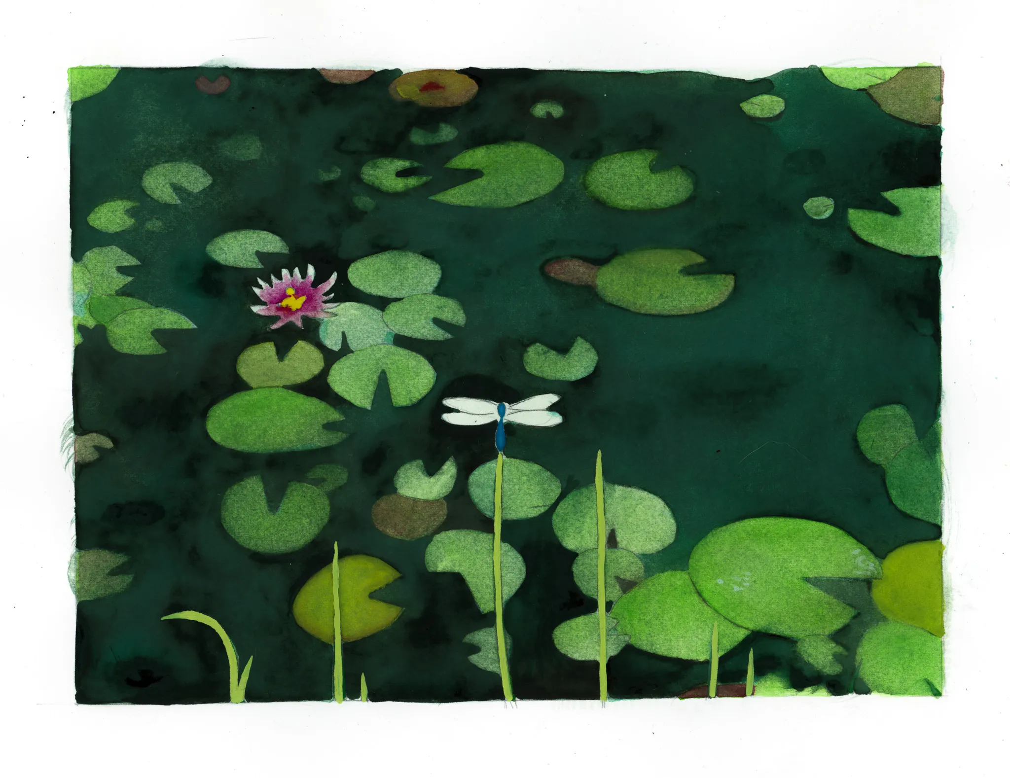 The Township Park Pond